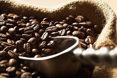 《忍者龙剑传4》新实机视频 施展绝技斩杀敌人